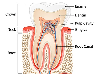 modern-dental-root-canal-recovery